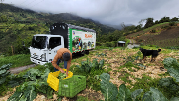Proyecto Reagro recolección de alimentos en fincas