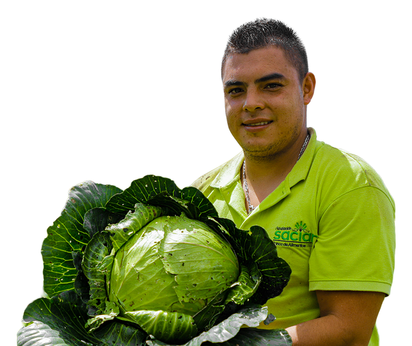 Campos-de-fincas-antioqueñas-del-proyecto-reagro-ABACO--con-bpoluntarios-de-Saciar-bancos-de-alimentos-de-colombia