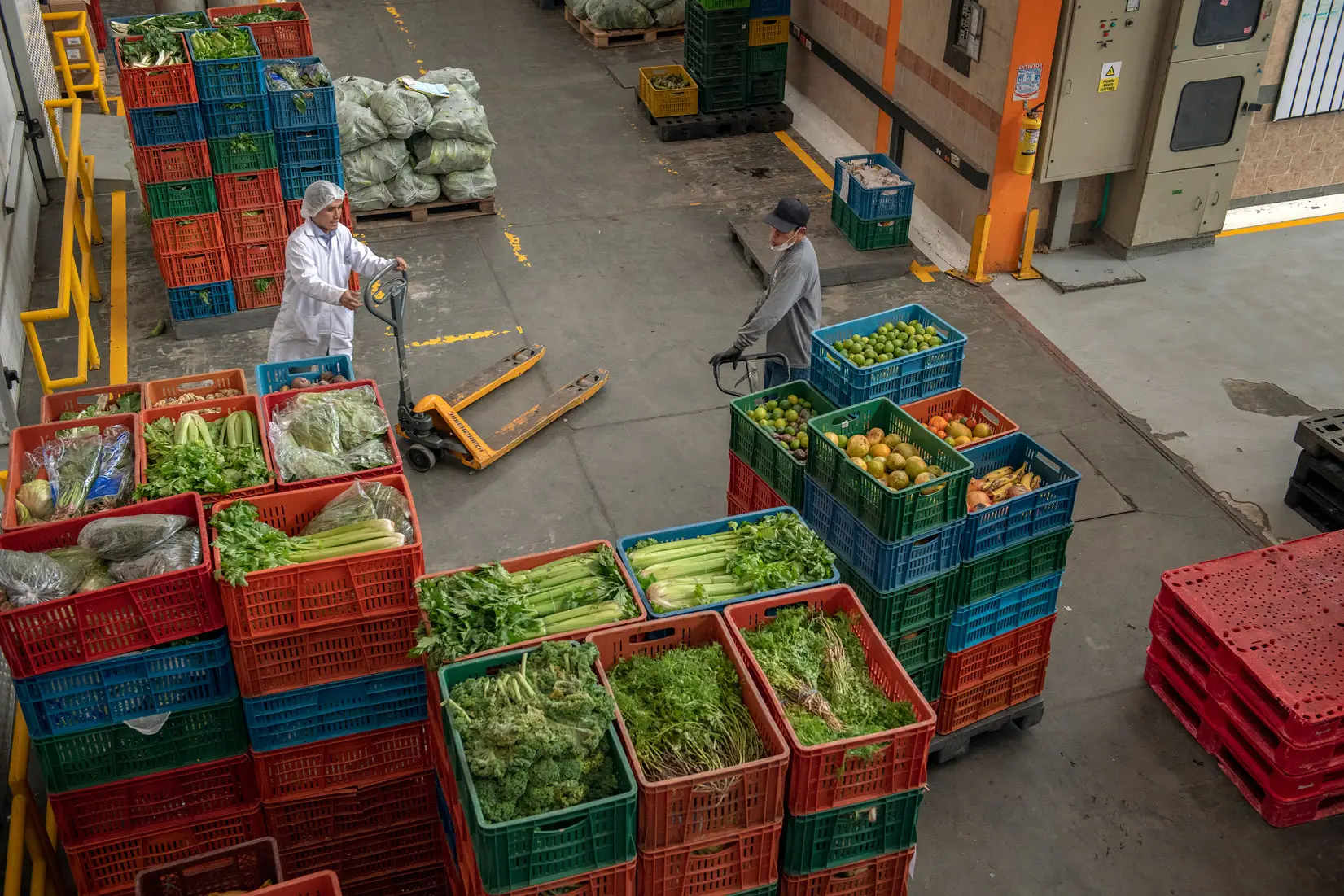 55.091-toneladas-de-alimentos-e-insumos-fueron-entregadas