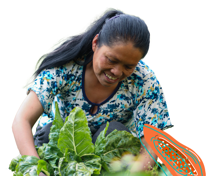 Campos-de-fincas-antioqueñas-del-proyecto-reagro-ABACO--con-bpoluntarios-de-Saciar-bancos-de-alimentos-de-colombia